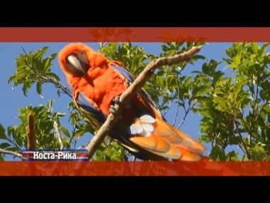 Орел и решка: Коста-Рика
