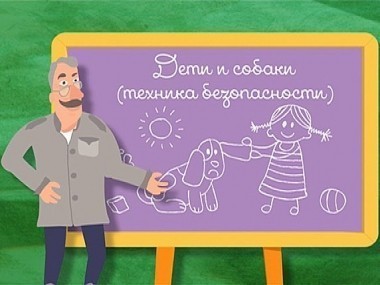 Школа Доктора Комаровского: Дети и собаки (техника безопасности)
